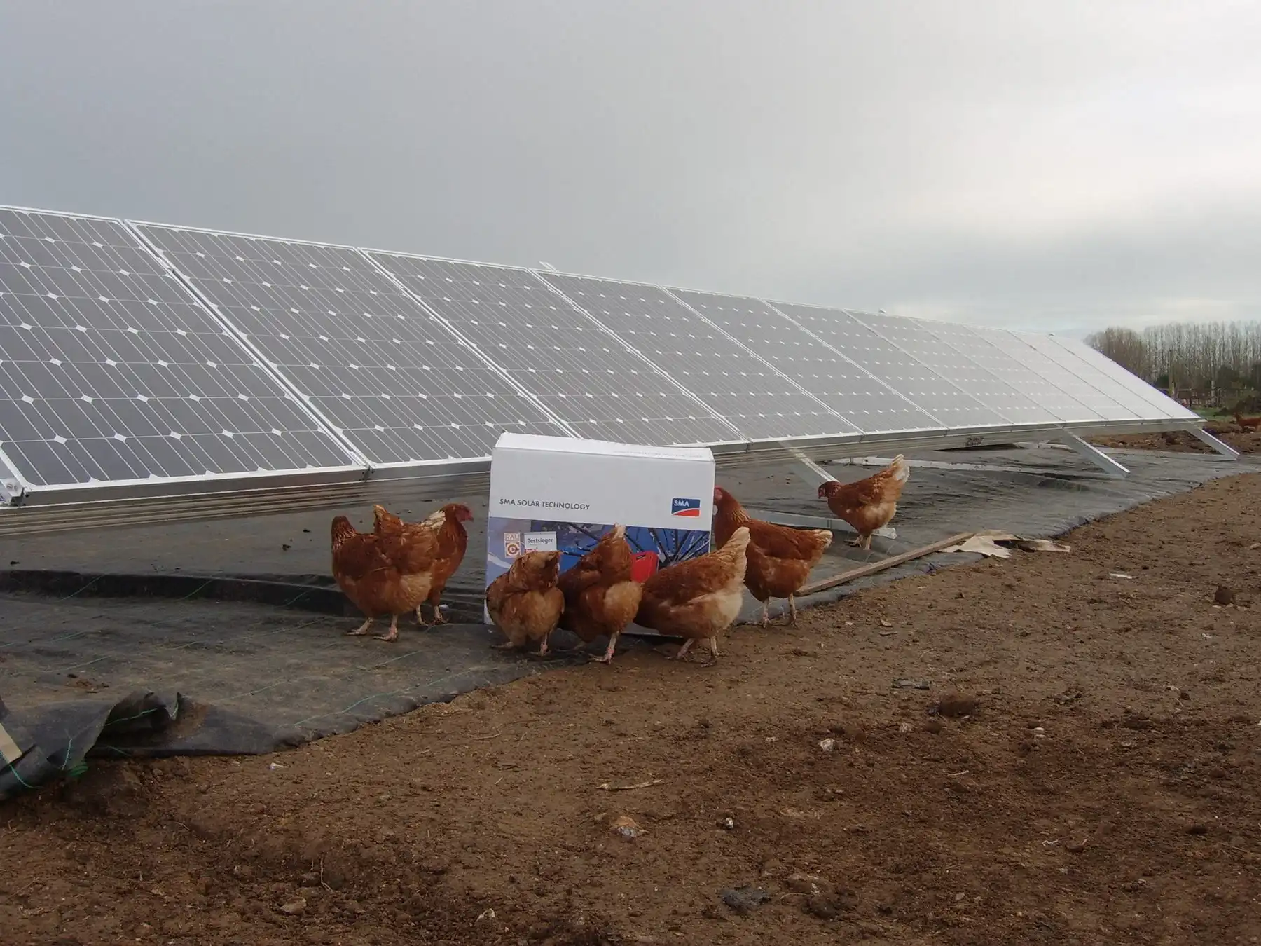 Ground mounted solar installation in West Sussex